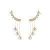 Fashionable earrings, design long zirconium with tassels from pearl, light luxury style, internet celebrity