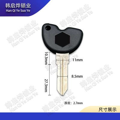 Suitable for Aprilia Srmax250 Motorcycle Key