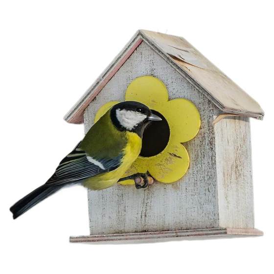 Amazon Hot Sale S Hook Plant Potted Hanging Bird Feeder Atmosphere Light And Other Multifunctional Metal Hook