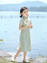 Ůͯ���۹���С����СŮ��Ů���������װ��ͯ�ݳ���