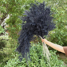 ��c���滨���{ɫϵ���} ��Y�õ�픻�c�b���Ʒ ����Gֲ���ϻ�