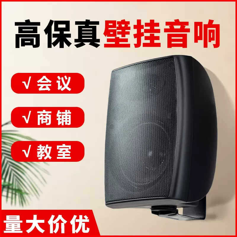 壁挂音箱 公共广播专用定阻/定压门店铺超市商场会议 壁挂音响