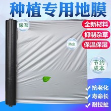 rypɫĤⱣ񽵜سxwݹ@߲˴