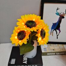 �羳���� ���l���տ�Сҹ�� USB��늿��{�� �Շ����ҾӔ[�� Դ�^