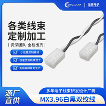 MX3.96-2P �׺��p�g�� 3.96�g�๫�������Ӿ� �O���Դ�B�Ӿ�����