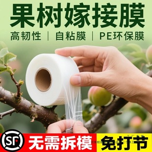 ����޽�Ĥ�p�@ĤPE�����ճ�o���Y��Ĥ�@�ֹ���޽��z��