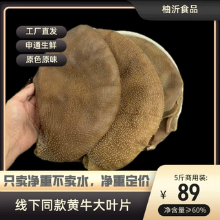 毛肚批发5斤装新鲜大叶片牛肚千层肚牛百叶商用牛杂重庆火锅食材