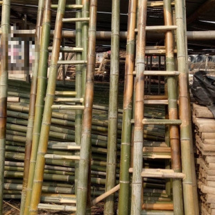 Bamboo Ladder Straight Ladder for Home Use, Engineering Power Straight Ladder, Engineering Ladder, Kindergarten Climbing Bamboo Ladder