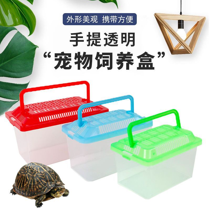 Pecera Mini con Tapa para Tortugas de Plástico Transparente, Con Tapa, para Sala de Estar