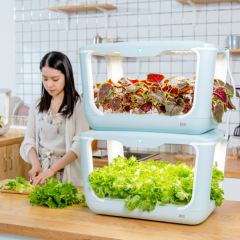 野菜タン室内栽培機知能家庭用無土水栽培野菜果物客間花架種菜盆