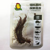 Watching fish Nutrition insect Scorpion feed barbarian pink pink pour, 蟋 蟀 蟀 观 观 观 观 观 pet material