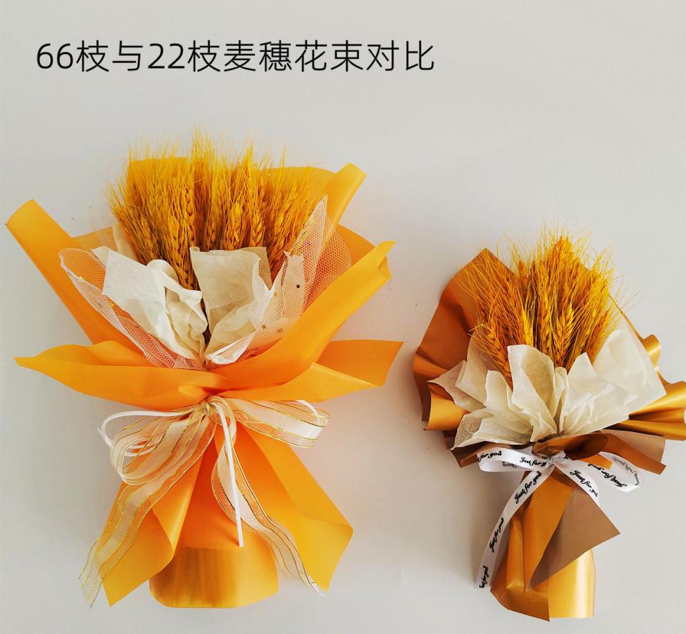 c652cc7c-2904-43c0-8526-43b342150da8.jpe