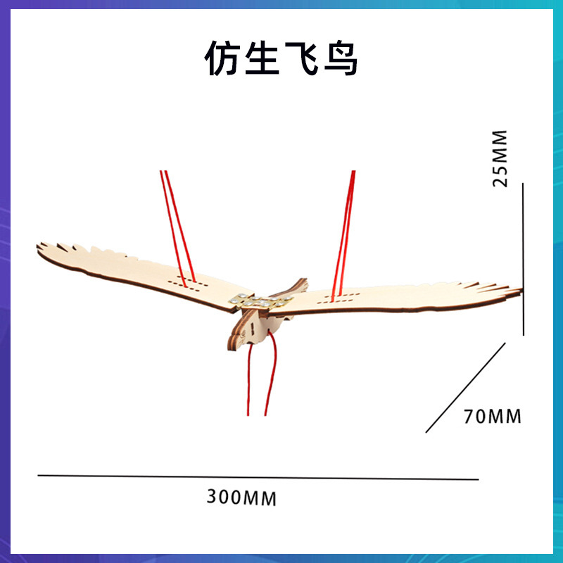 科学技術の小さい制作のstem科学の小さい制作の小学生の手の科学の実験の卸売りの子供のおもちゃの材料の包み|undefined