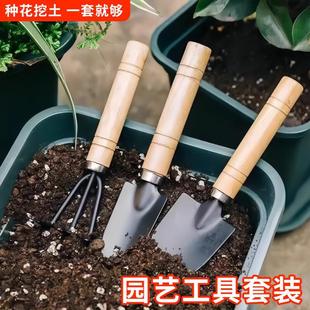 Flower Planting Tools Household Set for Growing Vegetables and Flowers, Succulent Potted Plants, Rake, Shovel, Gardening Shovel, Three-Piece Set