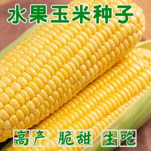 ���ˮ�����׷N�Ӵ������߮a�����������ļ����Դ���Nֲ�N��