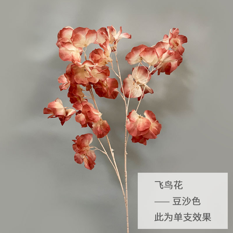 콩 페이스트