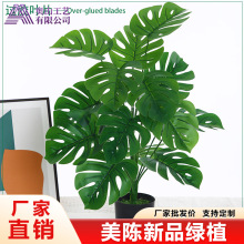 ����GֲС������������滨�҃ȿ͏d�b�����ֲ���쾰����b�