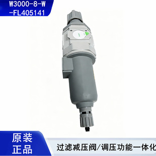 W3000-8-W �^�V�p���y Rc1/4 ��Ӷ��� 5&mu;m �����{���^�V�� ��