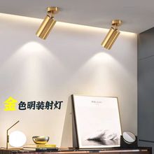 吸顶万向头射灯  金色10W吸顶射灯 价格优 产品美