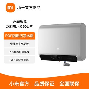 �׼�С�������pđ늟�ˮ��60L P1���ñ���Ͱ늟�ˮ���pđ�ٟ�