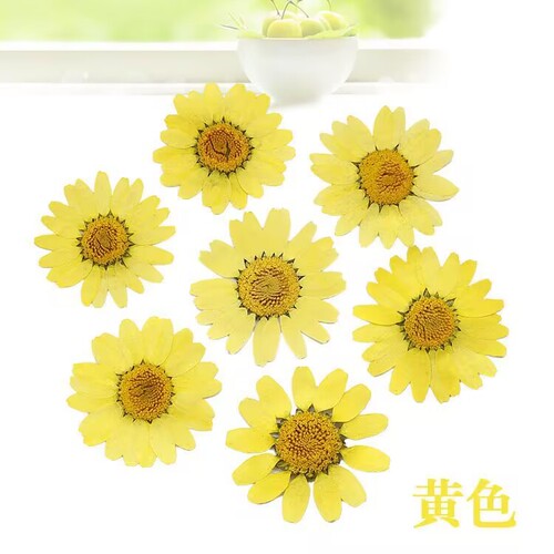 Pressed Flower Jelly Case, DIY Bookmarks, Greeting Cards, Fans, Handmade Materials