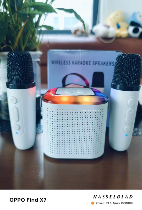 Y1ブルートゥースオーディオk歌一体屋外ホームパーティーセット無線マイクマイクミニbluetoothスピーカー|undefined