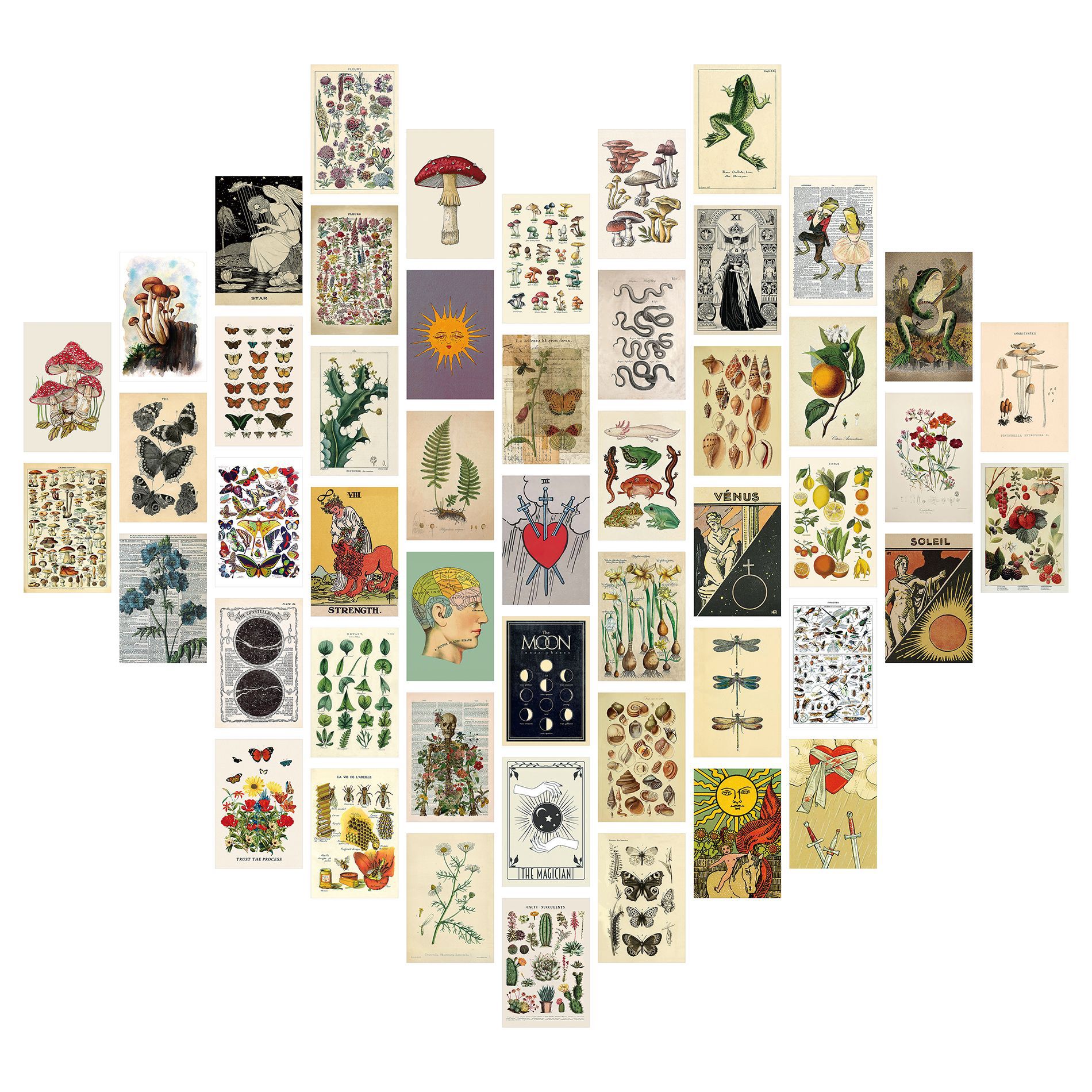 M9010-50매(단면 인쇄)