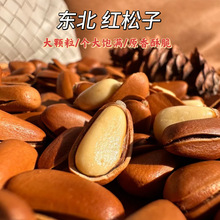 一件代发大颗粒新东北野生原味特大颗粒开口松子干果手剥松籽仁坚