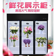 �r������ؙ��L�䱣�r�����ꌣ�ô�����չʾ���������T�p�T�r����