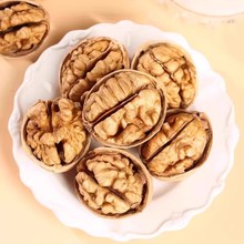 �N�ƴ����º��� ��Ƥ�����½��خa���l �����_��Ƥ�����K185��