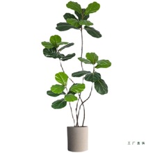 ֲ҃ȴ;Gֲ[͏dpb٘Շ̨