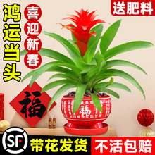 ���\���^���Ԏ����͏d�P�滨�辰�������ܾGֲ���҃Ⱥ��B�ļ��_��