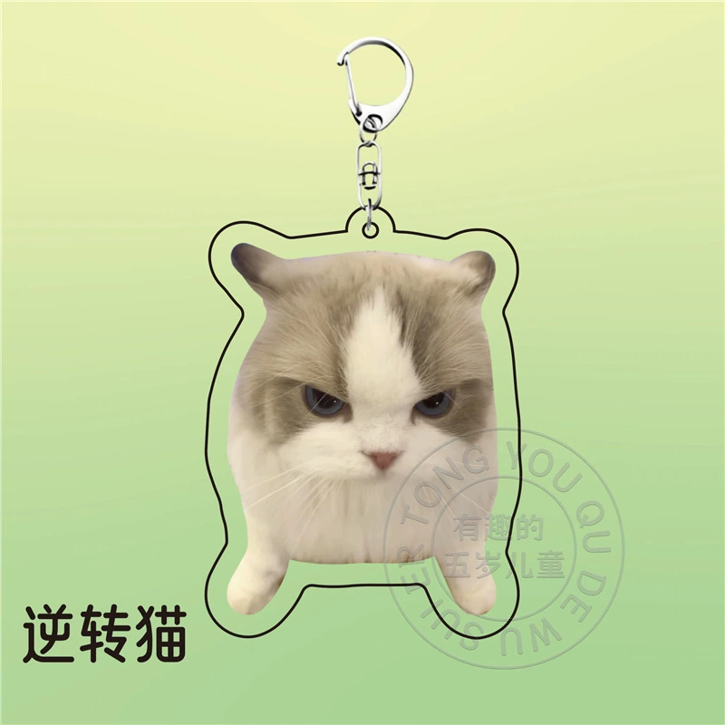 Acrylic cute keychain, backpack, pack, pendant for friend