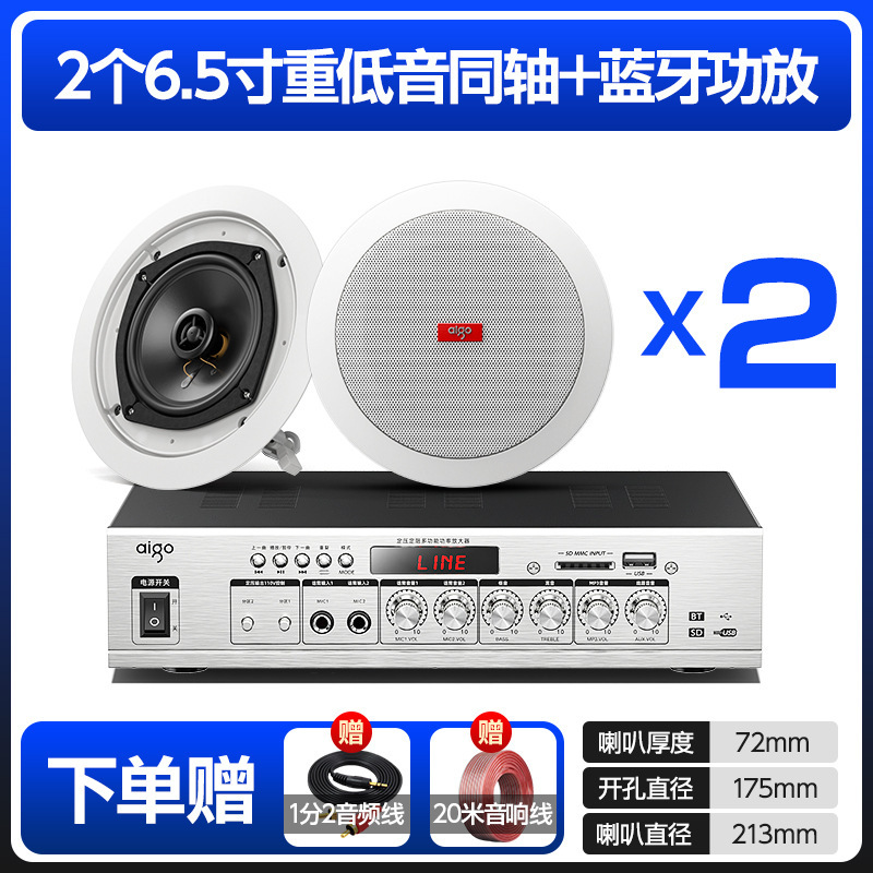 Sistema de Altavoces de Techo con Conexión Bluetooth para Música de Fondo