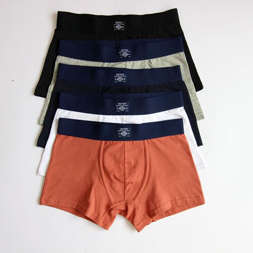 DEV Foreign Trade Men's Underwear Boxer Shorts Pure Cotton Boxer Shorts for Men Teenagers Fashion Sports Men's Shorts 