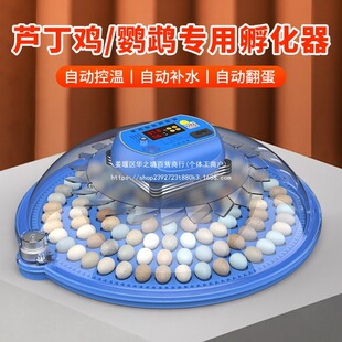 ���l������С�ͼ���ȫ�Ԅ������B���J��С�u������С�w���������