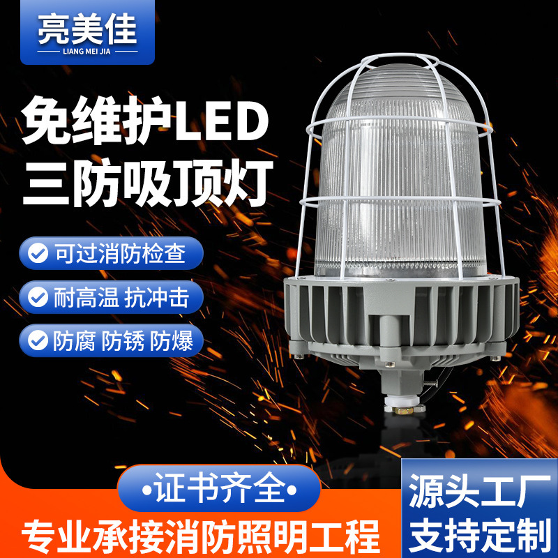 Led Explosion-Proof Light for Warehouse and Factory 200W Lighting Lamp for Gas Station and Chemical Plant Explosion-Proof Floodlight Led Explosion-Proof Light for Warehouse and Factory 200W Lighting Lamp for Gas Station and Chemical Plant Explosion-Proof Floodlight