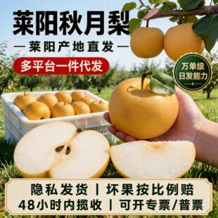 �����R�������һ�����l�Sˮ��ˮ�����r��������ѩ���Ӵ������