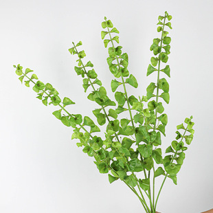 ��Ʒ�|����ؐ�����߶˘Ӱ��g��з��滨 ��Ʒ�~�����~�b��ȼ���