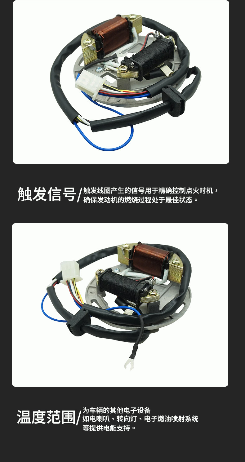 Motorcycle Magneto Coil Motorcycle Stator Motorcycle Electrical Devices FR80 AX100 2 COIL Manufacturers