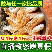 ]ɽľͰۡIһһҰȻrԮaٻK