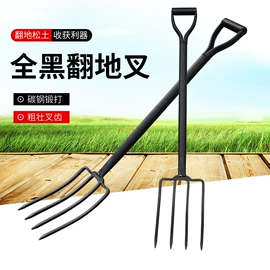 铲子;油灰刀;锹