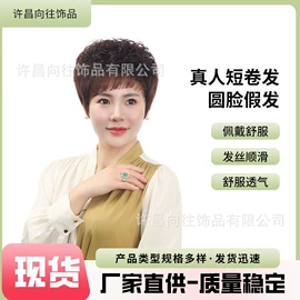 真发假发;假发片