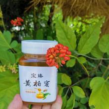 |ɭSLɽVŎXҰS}Ȼo500˰]