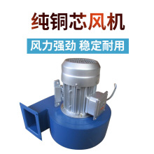 养殖热风炉燃煤取暖锅炉育雏鸡鸭鹅猪舍增温炉智能控温大棚暖风炉