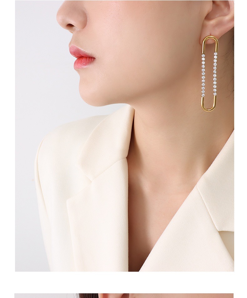 1 Pair Elegant Geometric Titanium Steel Plating Zircon Drop Earrings display picture 4