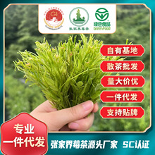 电商直播一件代发 张美丽莓茶 张家界野山小叶种显张家界莓茶