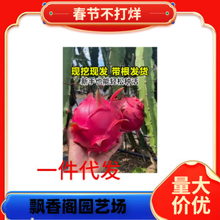 �����������t�Ļ���������C�Ϸ��̨�ļ����ԷNֲˮ������Y��