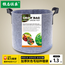 跨境货源 grow bag毛毡种植桶植物种植袋灰色无纺布植树袋加仑盆