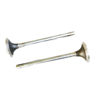 Engine Exhaust Valve, Valves and components